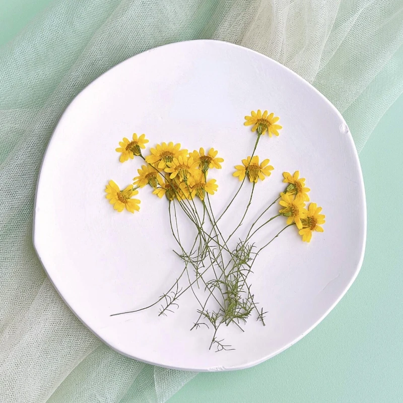 Nail Art Natural - 6-10cm/24pcs,Nature Pressed Chrysanthemum,Real Chamomile Branches DIY